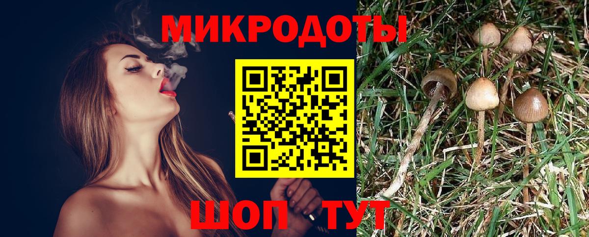 Галлюциногенные грибы Cubensis Вязьма